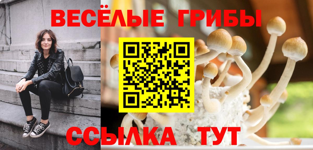 Галлюциногенные грибы Cubensis  Вход с VPN  Югорск 